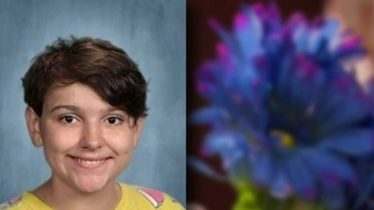 Franklin Middle School student died Tuesday after being hit by school bus in Wayne | Detroit News