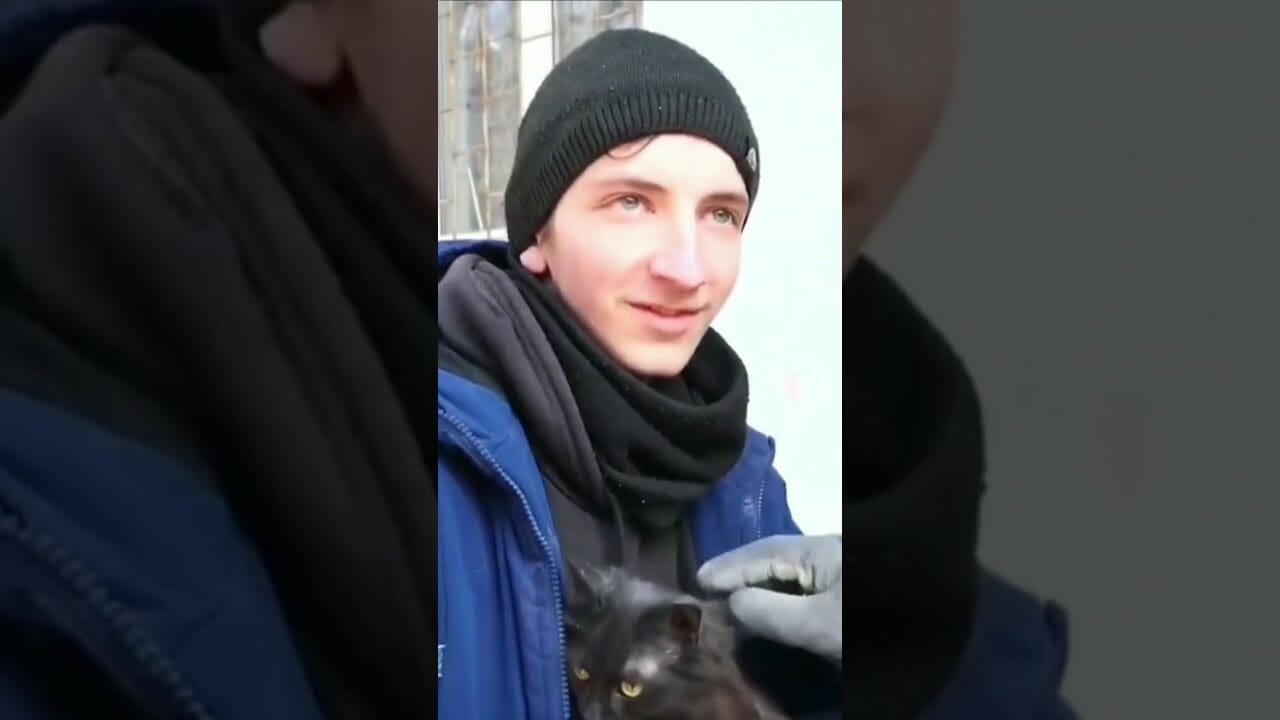 Kitten survives Russian strike