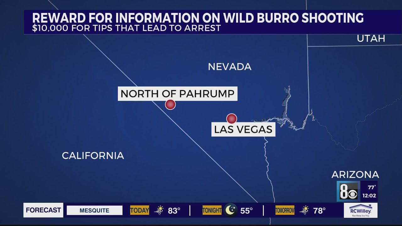 $10k Reward Offered For Information On Burro’s Killing In Pahrump