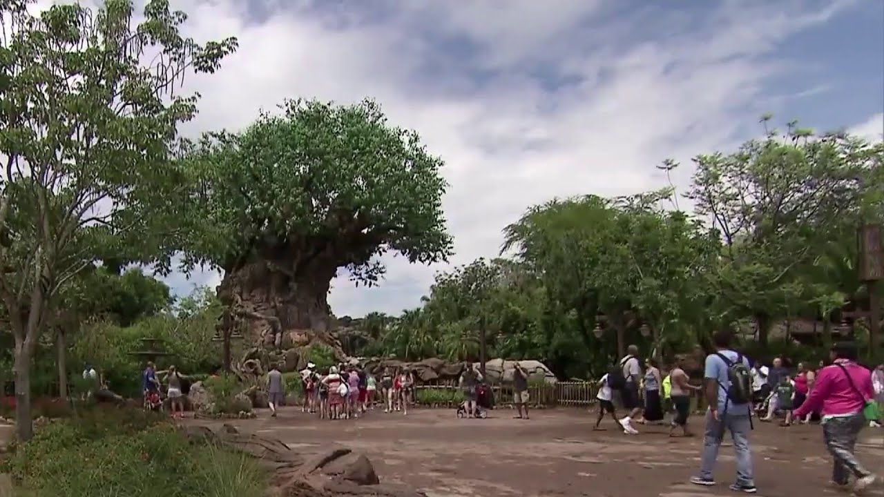 Animal Kingdom Celebrates 25 Years