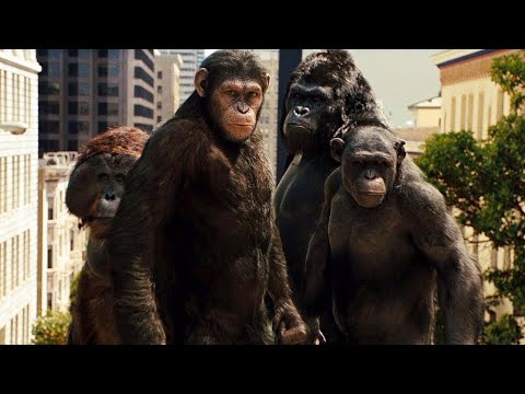 Apes Attack San Francisco Scene – Rise of the Planet of the Apes (2011) Movie Clip HD [1080p]