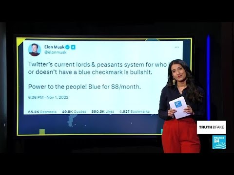 Bye Blue Tick: Why Musk’s Paid Twitter Blue Could Cause Chaos • France 24 English