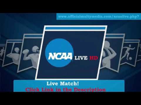 Campbell Vs Mount Olive. Live Stream !ncaa Women’s Soccer