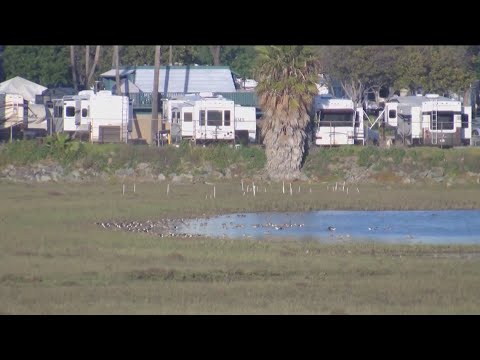 City Of San Diego Holds Final Public Comment On The Future Of De Anza Cove