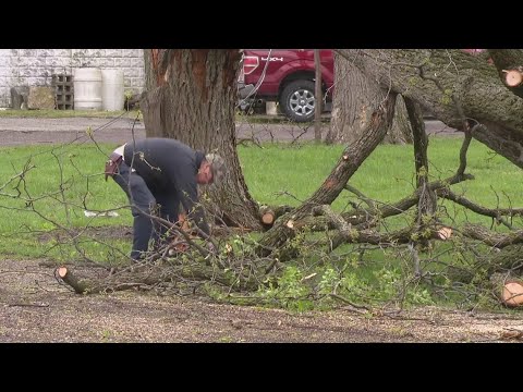 Community Cleans Up After Saturday’s Strong Storms | St. Louis News