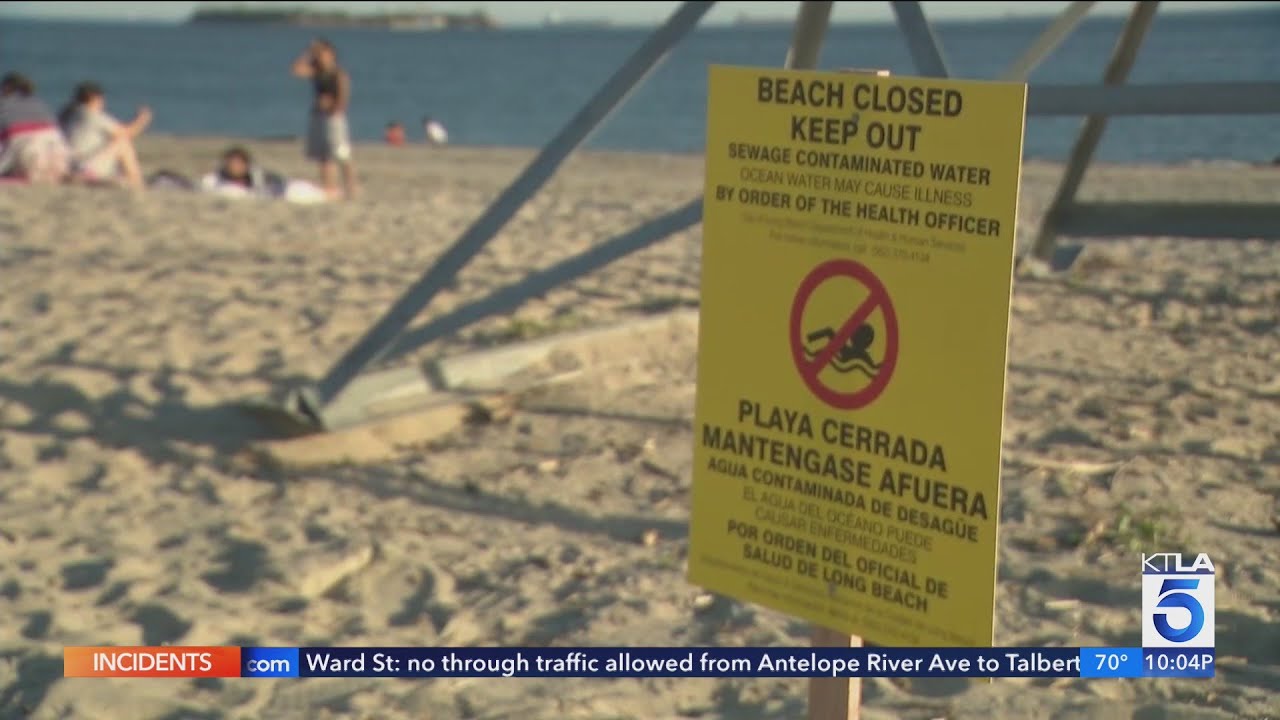 Despite The Sewage Spill, Some People Are Still Swimming In Long Beach