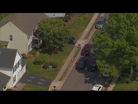 Dog In Critical Condition, Man Injured After Stabbing In Fairfax County