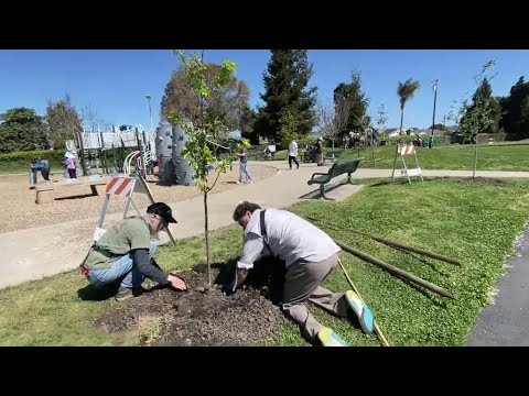 Earth Day celebrations around the Bay Area mix hope with realism