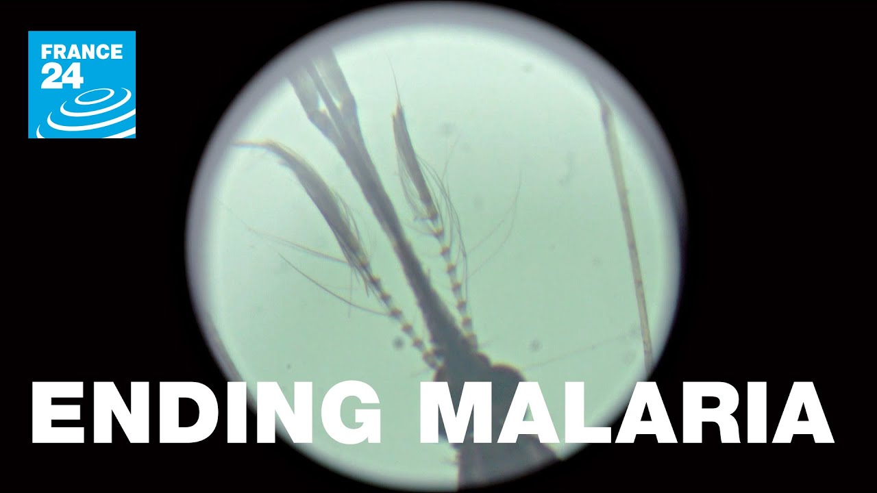 Ending Malaria