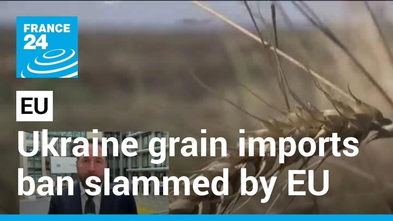 Eu Slams Poland, Hungary Move To Ban Ukrainian Grain Imports • France 24 English