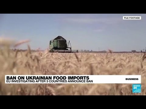 Eu To Investigate After 3 Countries Announce Ukrainian Import Ban • France 24 English