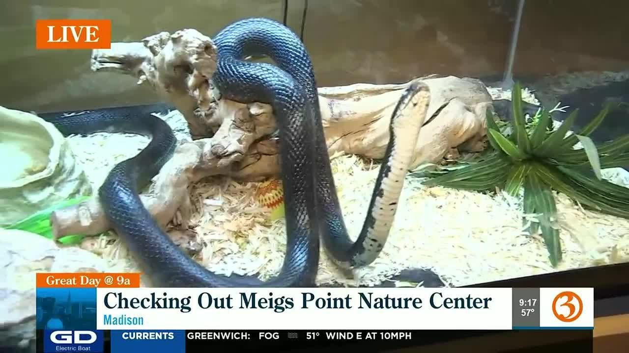 Exploring The Outdoors At Meigs Point Nature Center