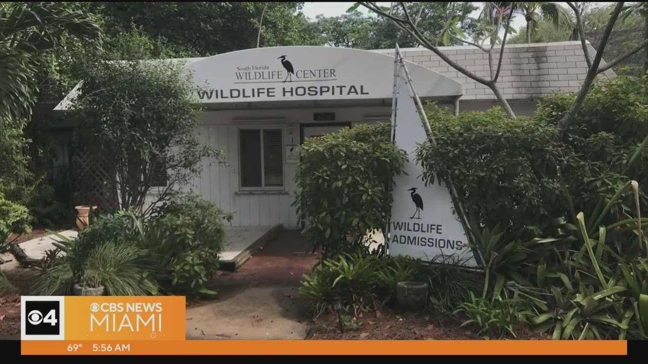 Eye On Earth: South Florida Wildlife Center