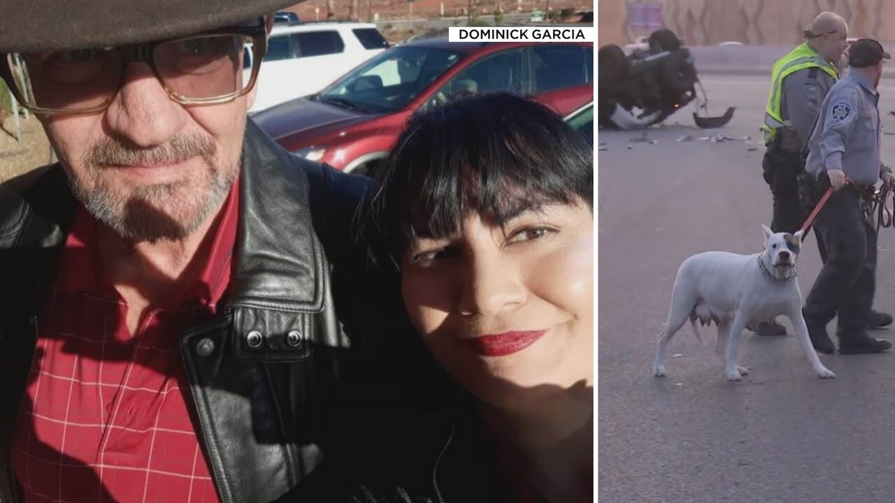 Family Of Man Who Died After Crash Wants Dogs Back From City Of Las Vegas