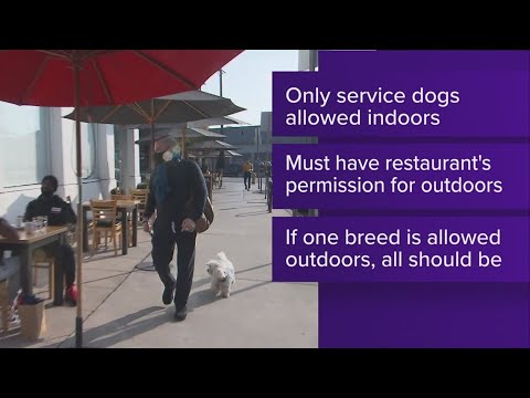 Fda: Dogs Are Safe To Join Outside Dining