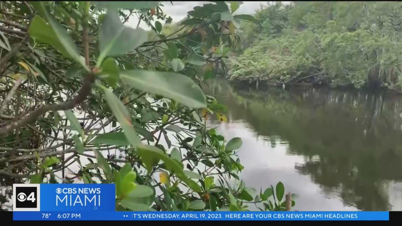 Fort Lauderdale Warns Residents About Bacteria In Water