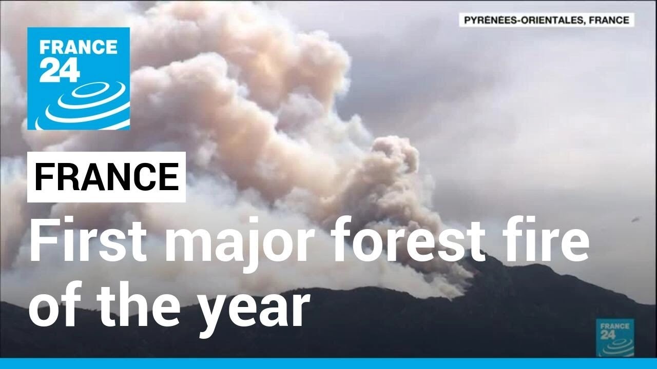 France Forest Fire: Hundreds Of Firefighters Battle First Major Blaze Of 2023 • France 24 English