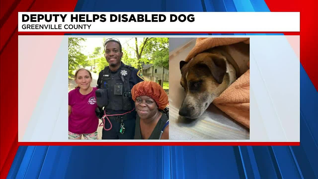 Greenville County Deputy Helps Save Dog That Couldn’t Walk