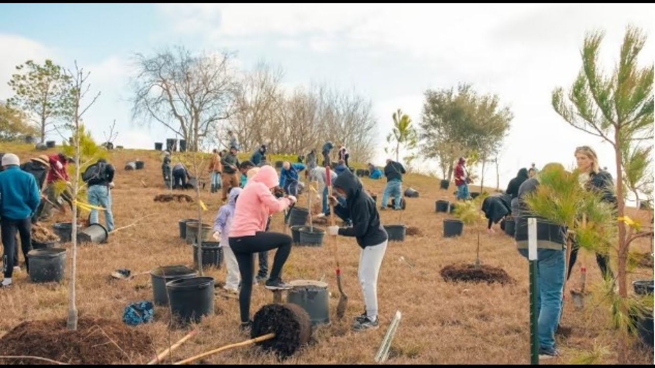 Help Trees For Houston Reach Goal Of Planting, Distributing 70,000 Trees This Year | Houston