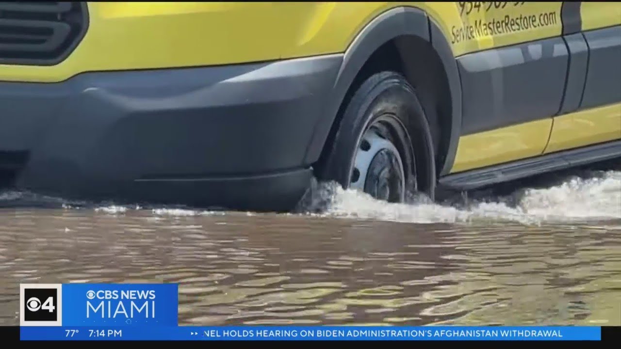 High Bacteria Levels Detected In Waters Near Flooded Areas In Fort Lauderdale