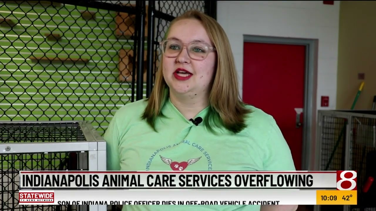 Indianapolis Animal Care Services Overflowing