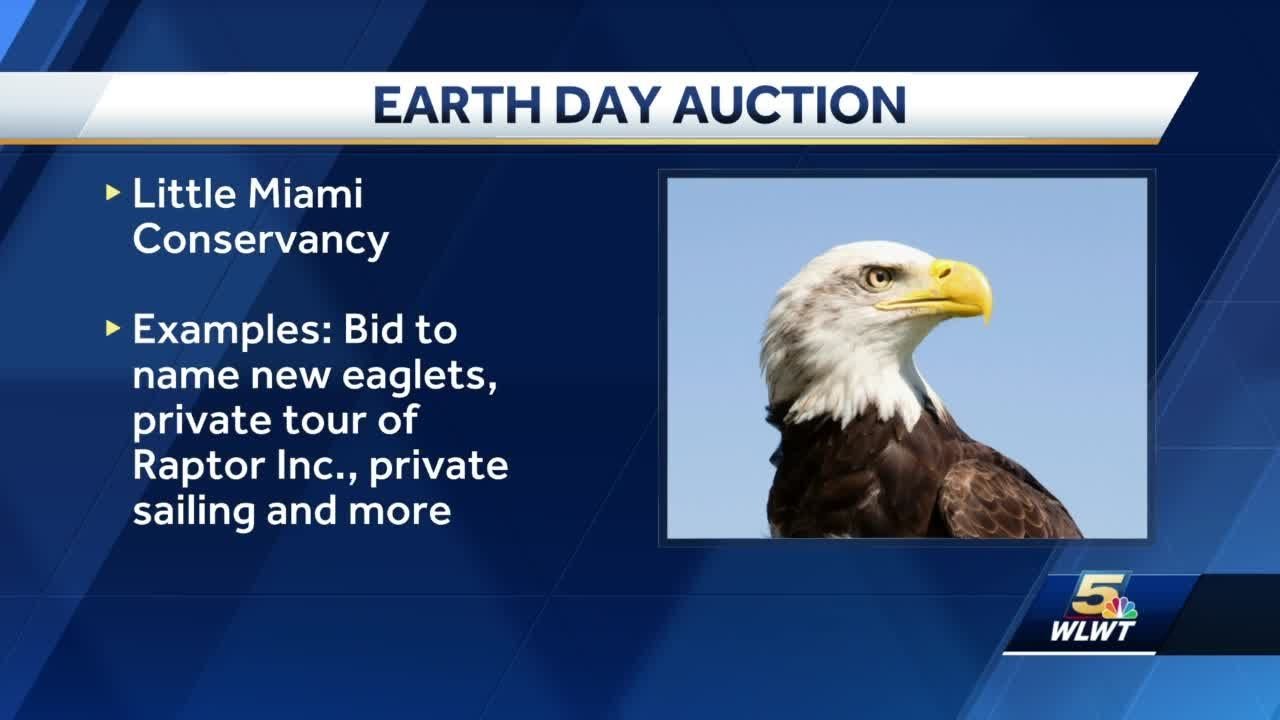 Little Miami Conservancy Taking Bids To Name New Eaglets