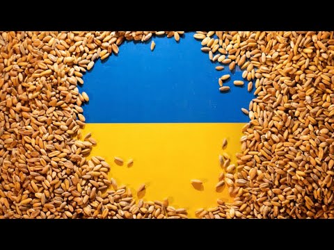 🔴 Live: Eu Says Poland, Hungary Bans On Ukraine Grain ‘unacceptable’ • France 24 English