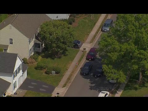 Man And His Dog Stabbed In Virginia Home