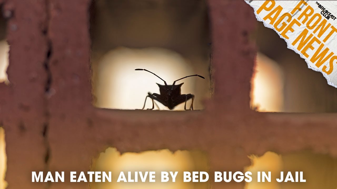 Man Eaten Alive By Bed Bugs In, Biden Takes Action On Child Care +more