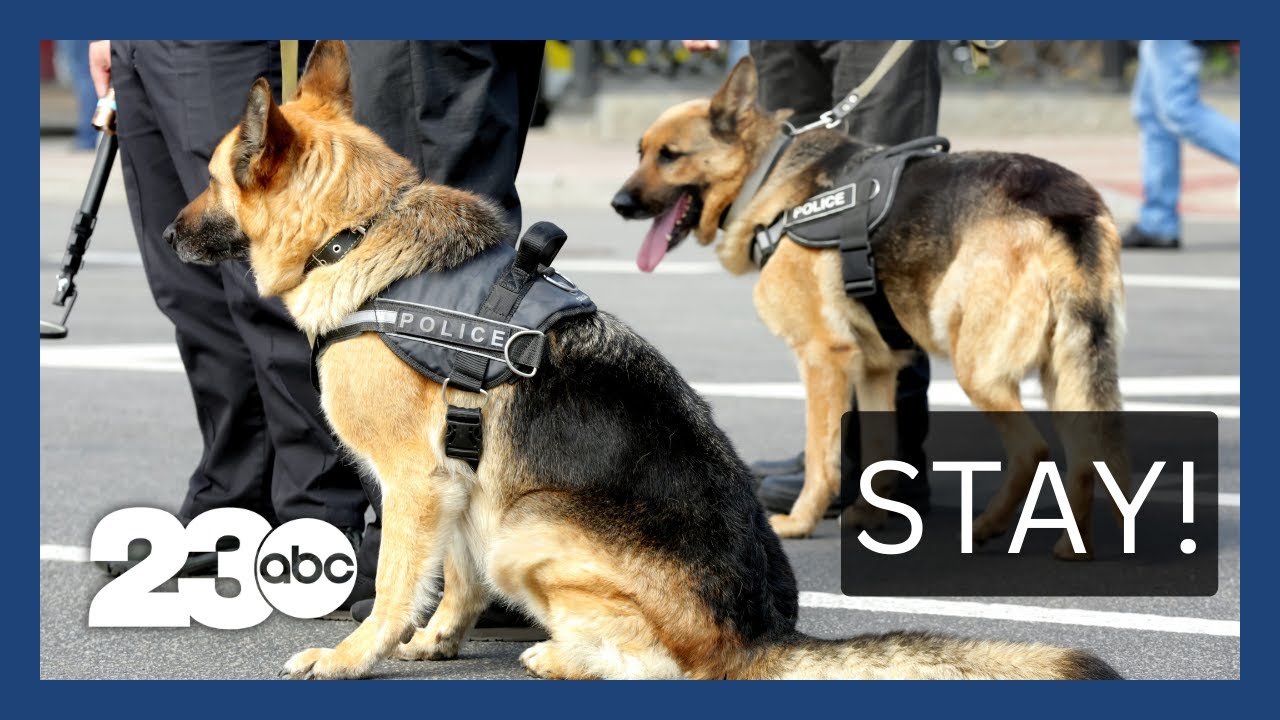 New Bill Aims To Restrict Police Dog Use