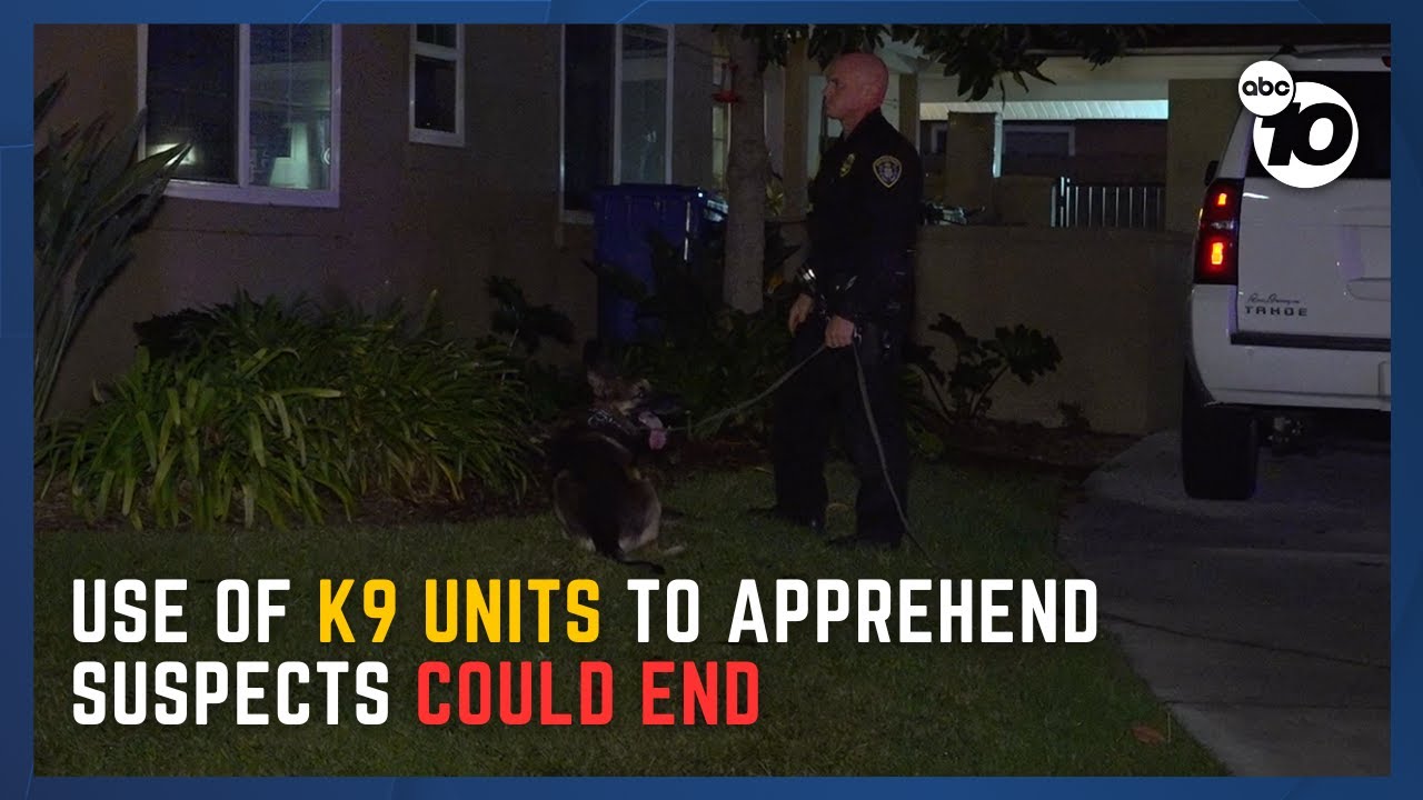 New bill aims to restrict police dog use | San Diego News