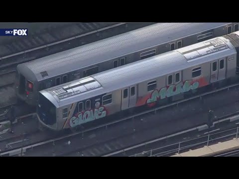 New Nyc Subway Trains Vandalized With Graffiti