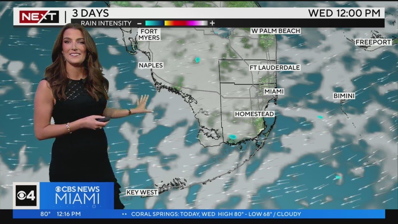 Next Weather Forecast For Wednesday 4/19/2023 12pm