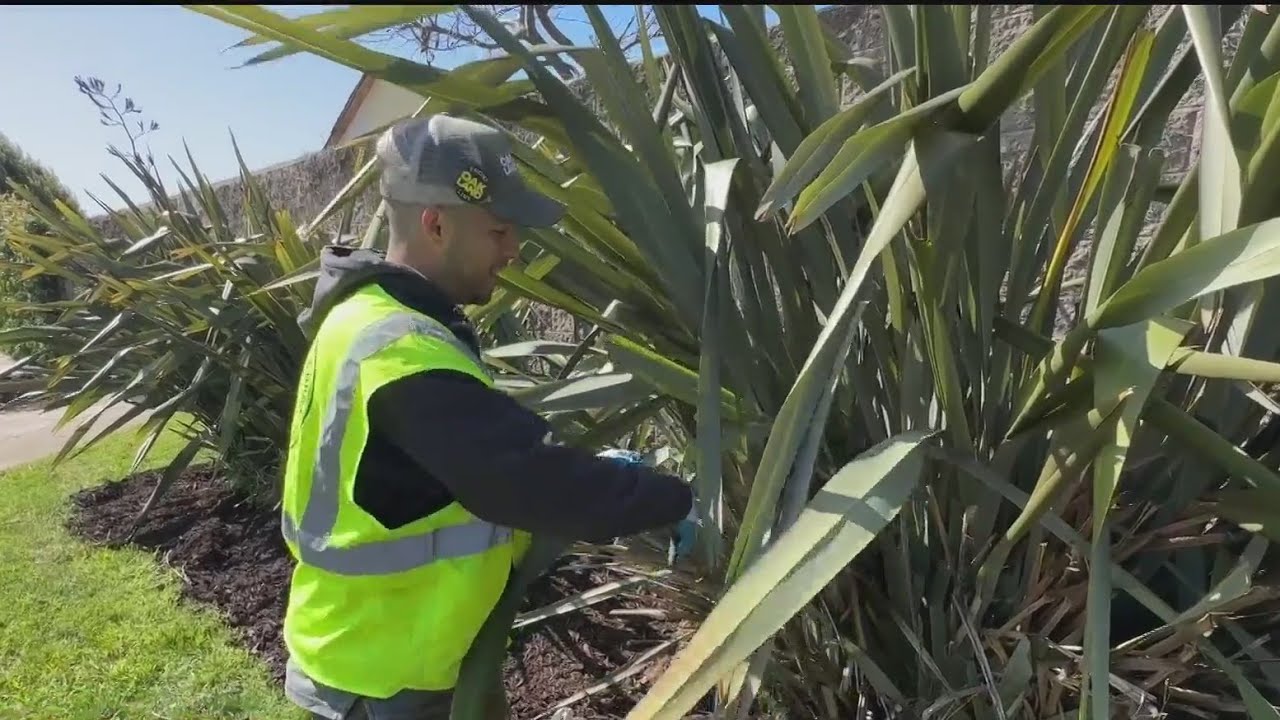 Oakland Earth Week