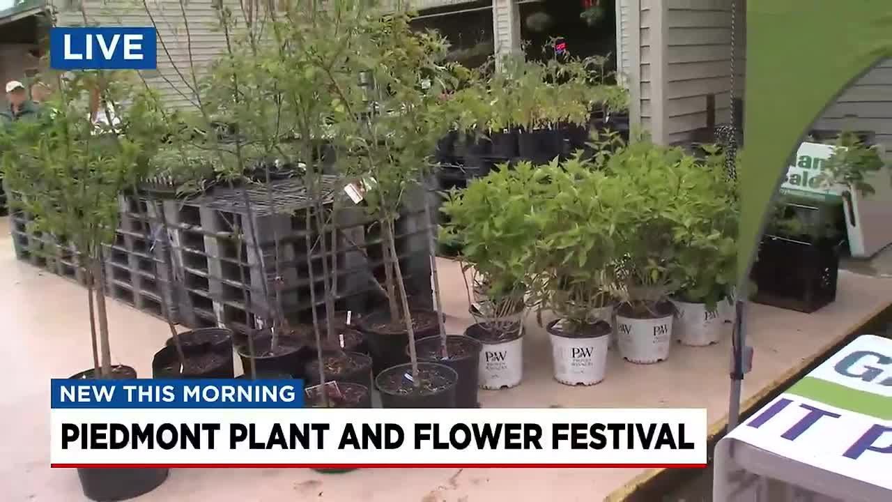 Piedmont Plant And Flower Festival