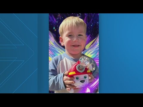 Pitbull Mix Attacks And Kills 2 Year Old Boy In Maryland