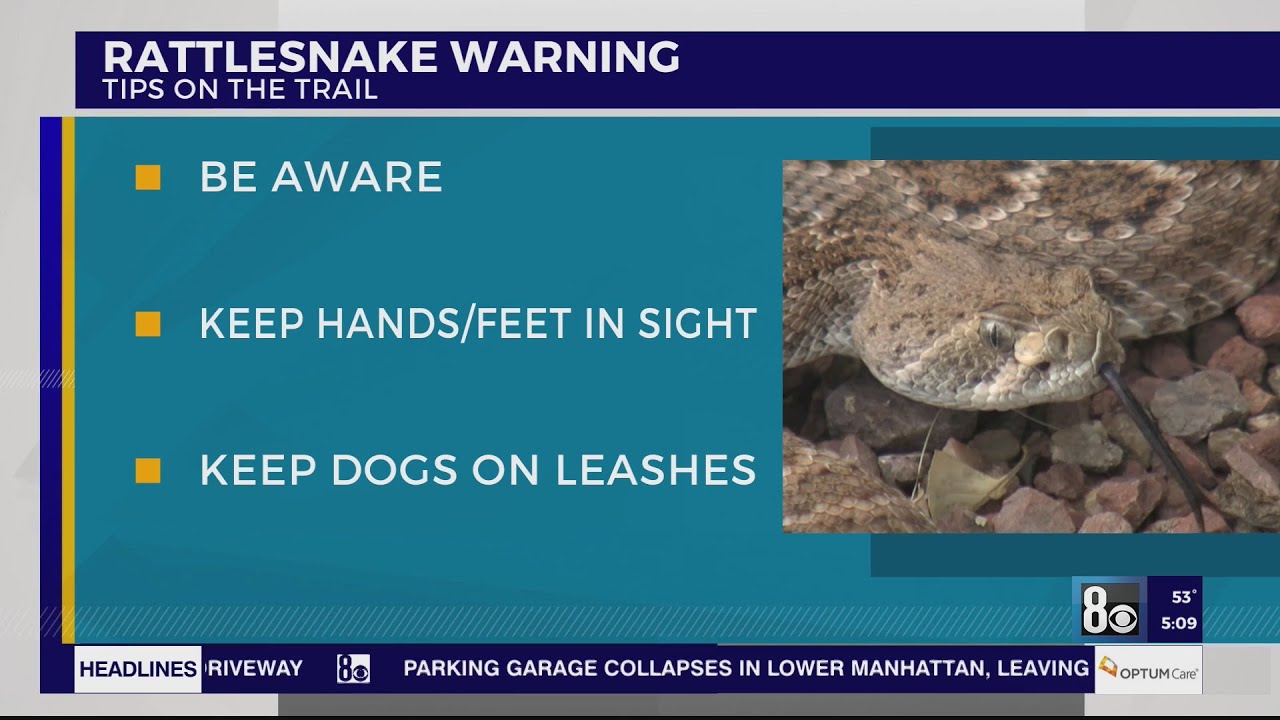 Rattlesnake Warning In Red Rock Canyon Area