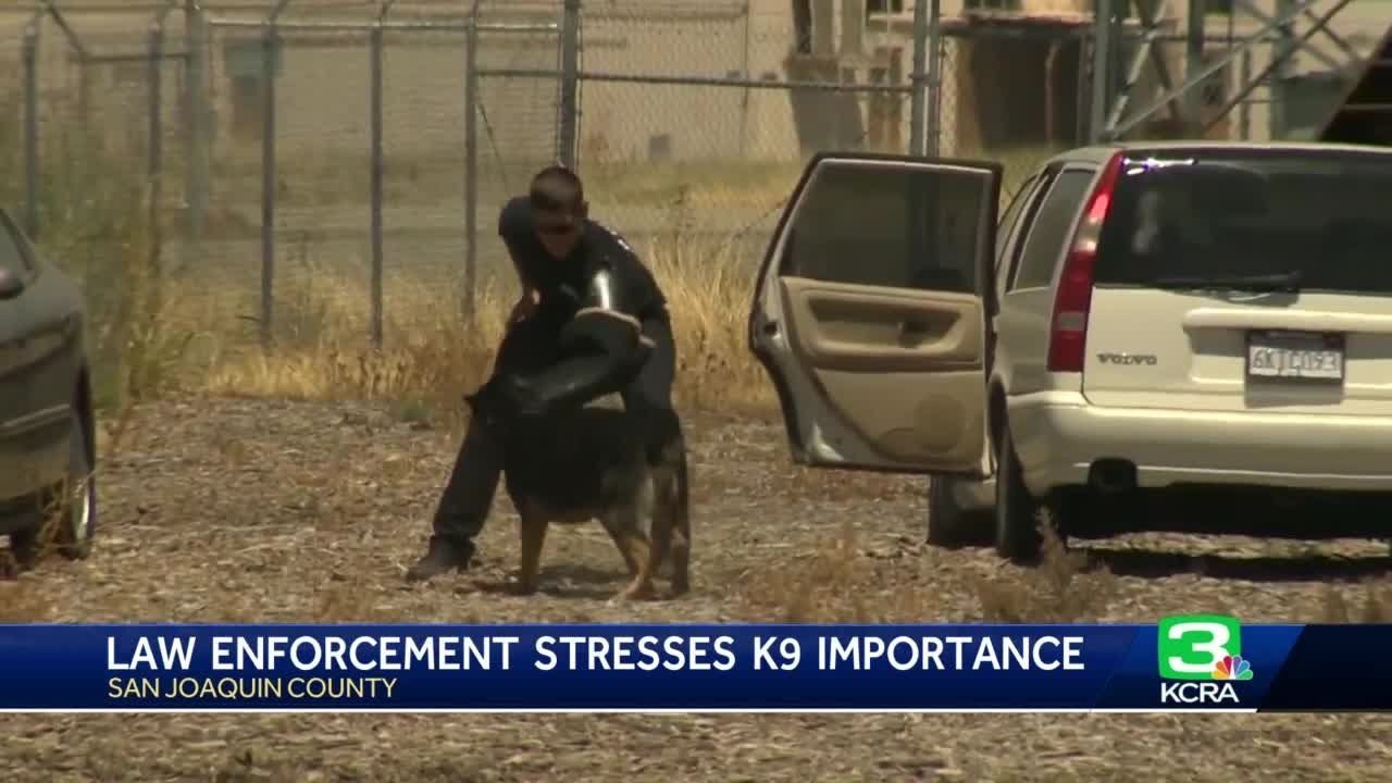 San Joaquin County Sheriff’s Office Argues Against Bill That Would Limit Use Of K 9s