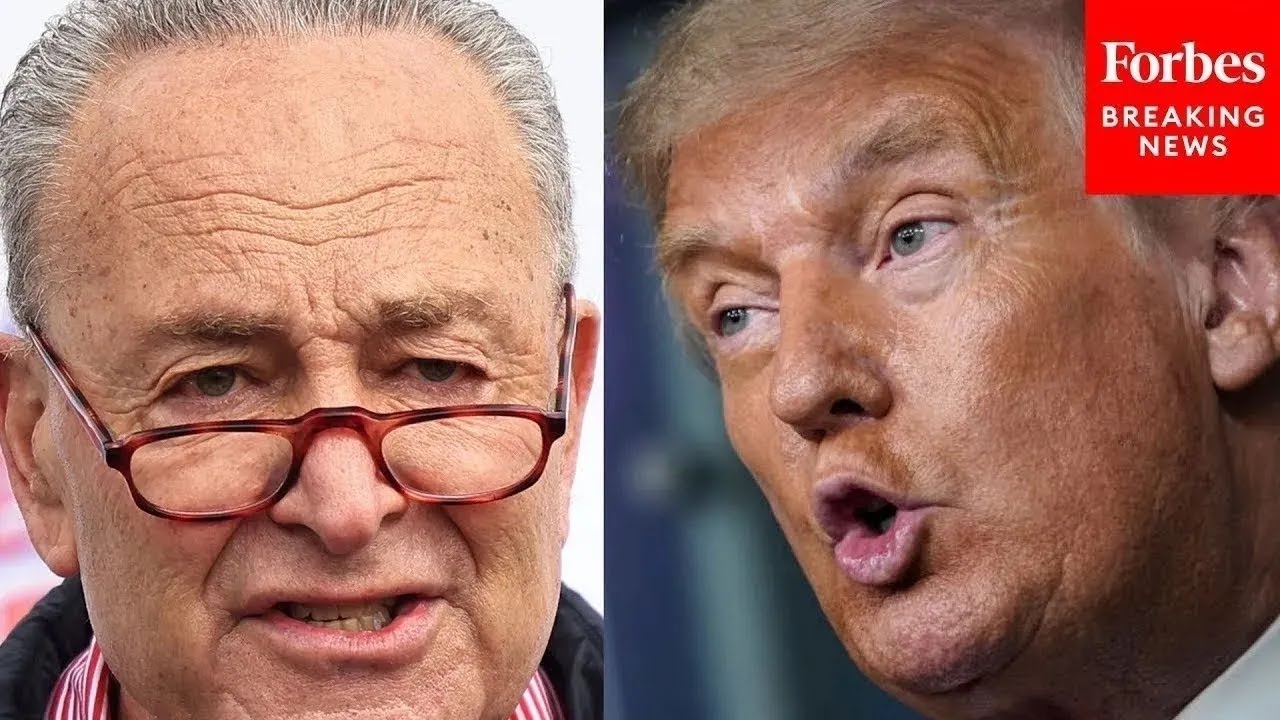 Schumer Blasts Gop On Debt Limit: ‘even Donald Trump Understood What House Republicans Today Do Not’