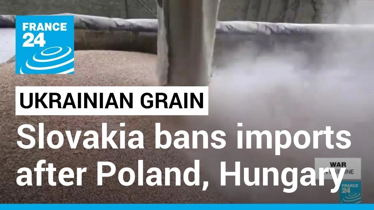 Slovakia Bans Imports Of Ukrainian Grain After Poland, Hungary • France 24 English