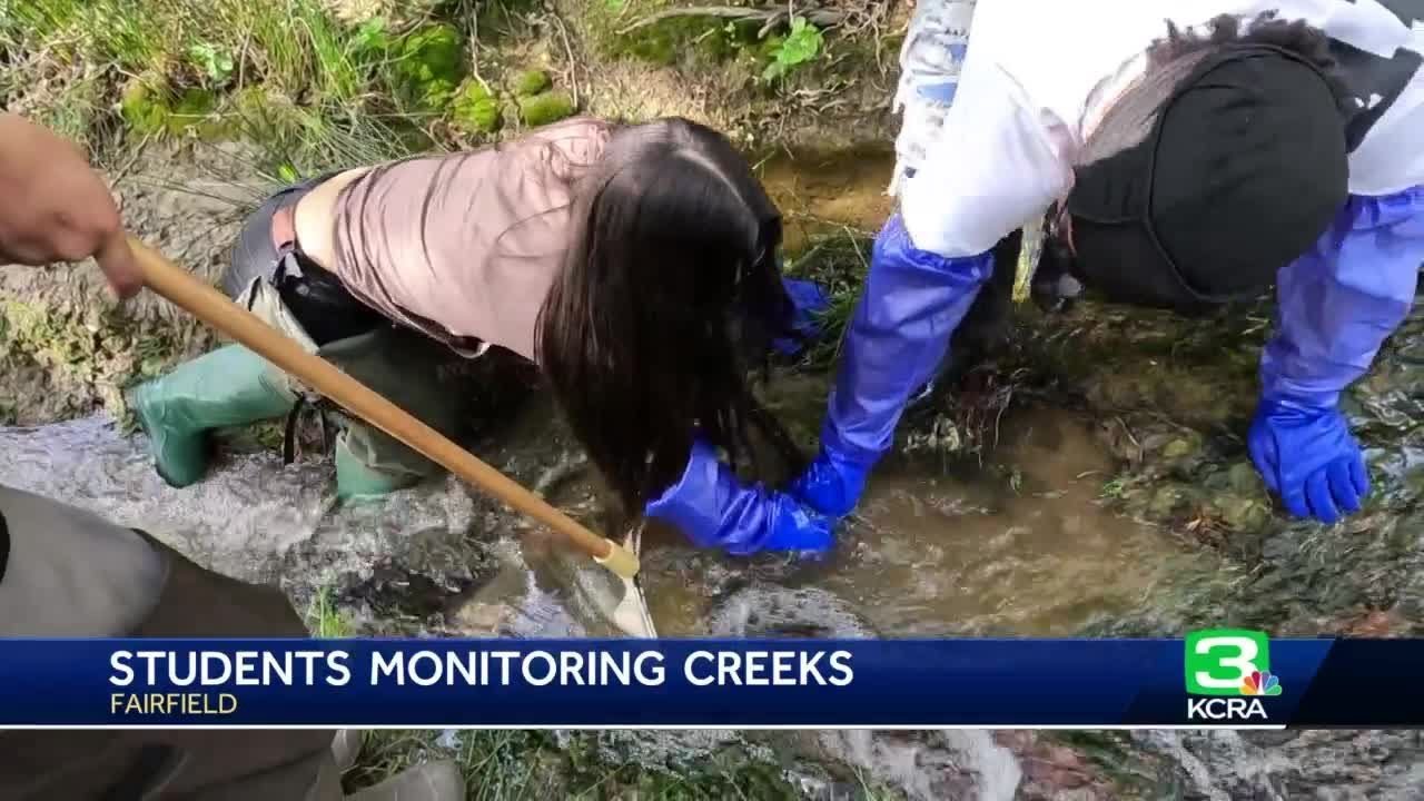 Solano County High School Students Wade Into Local Creeks For Hand On Watershed Science Lessons