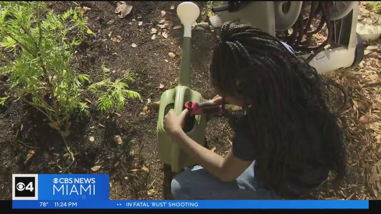 South Florida Kids Get Hands On Lessons On Preserving The Planet