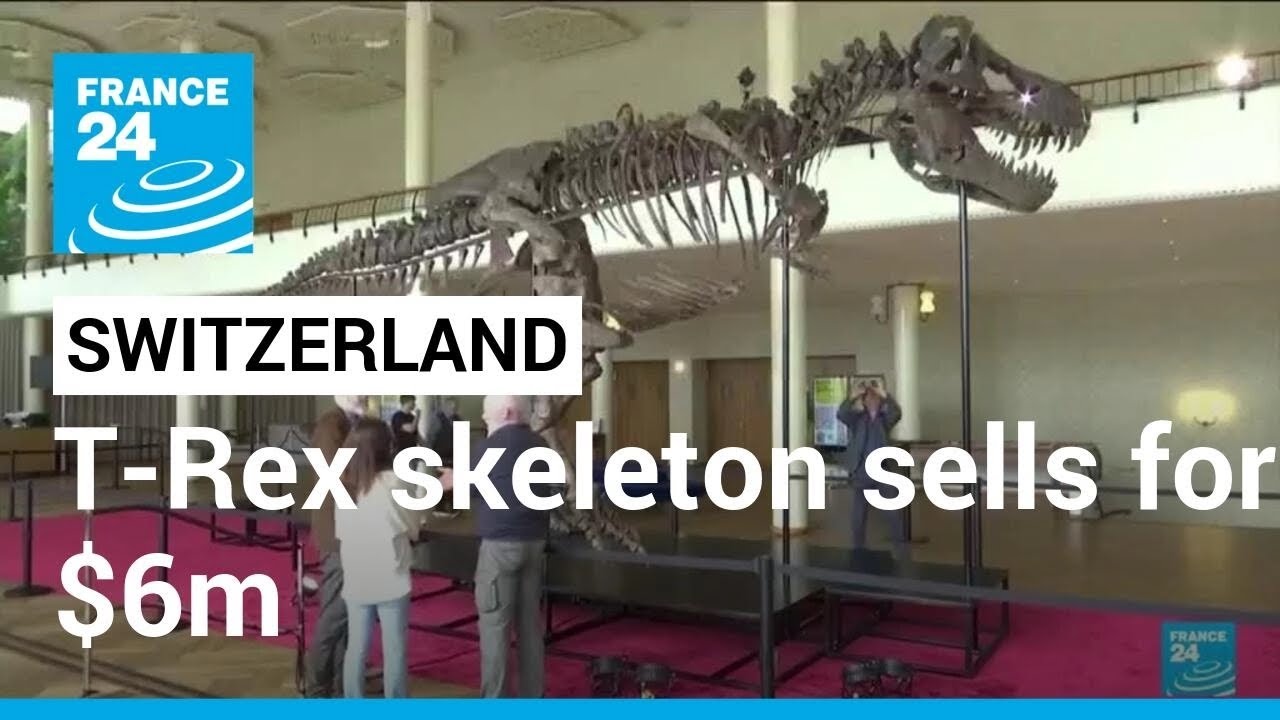 T Rex Skeleton Claws In More Than $6m At Swiss Auction • France 24 English