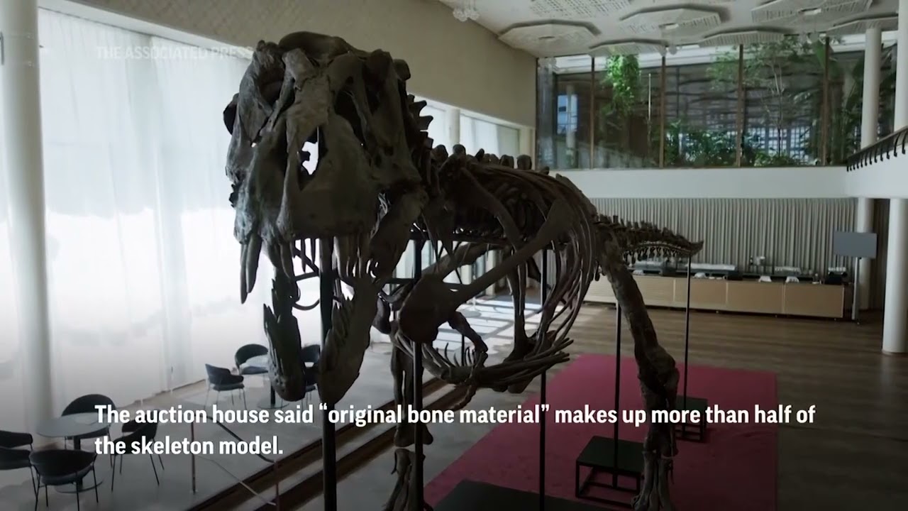 T. Rex Skeleton Sells For $5.3m At Auction | Ap