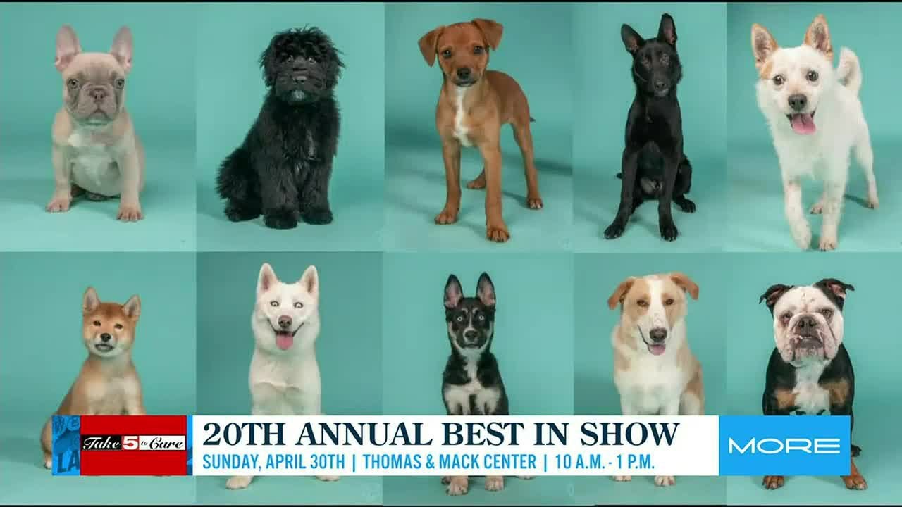 Take 5 To Care: 20th Annual Best In Show