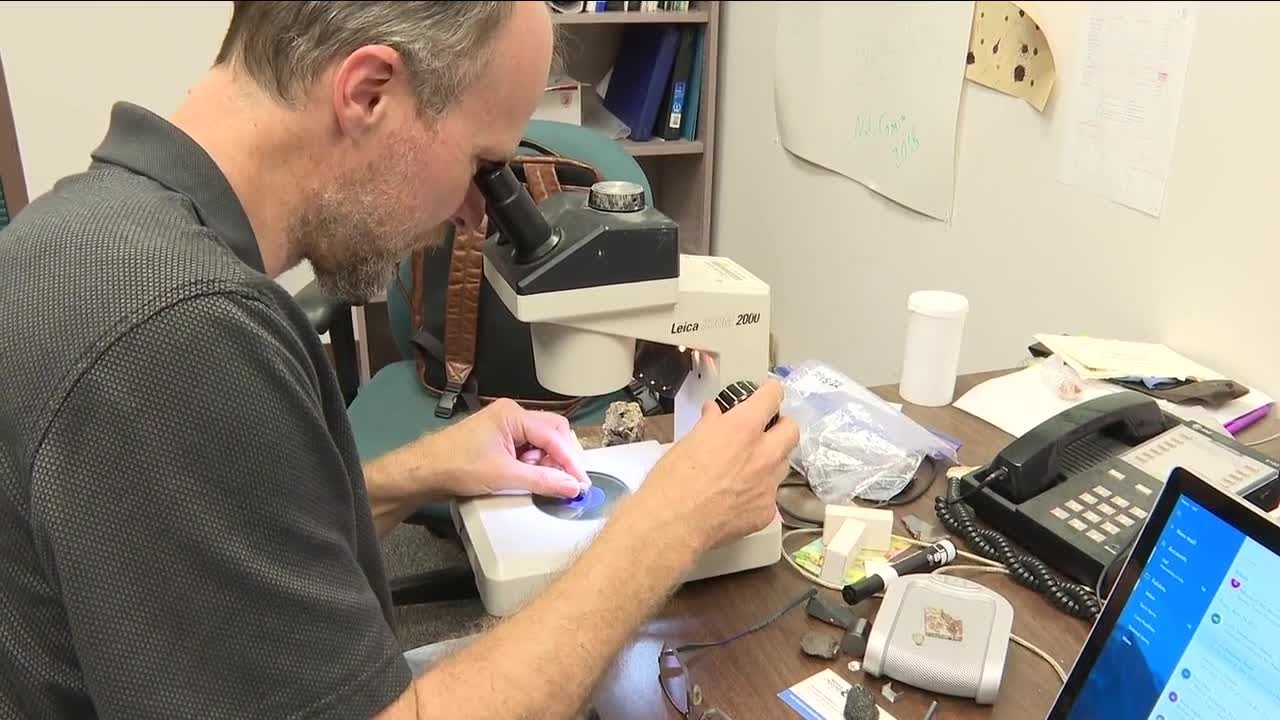 Usf Professor Makes First Of Its Kind Discovery