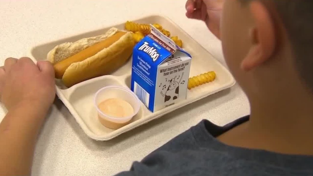 Utah Students Plagued With Over $1.7 Million In School Lunch Debt | Utah News