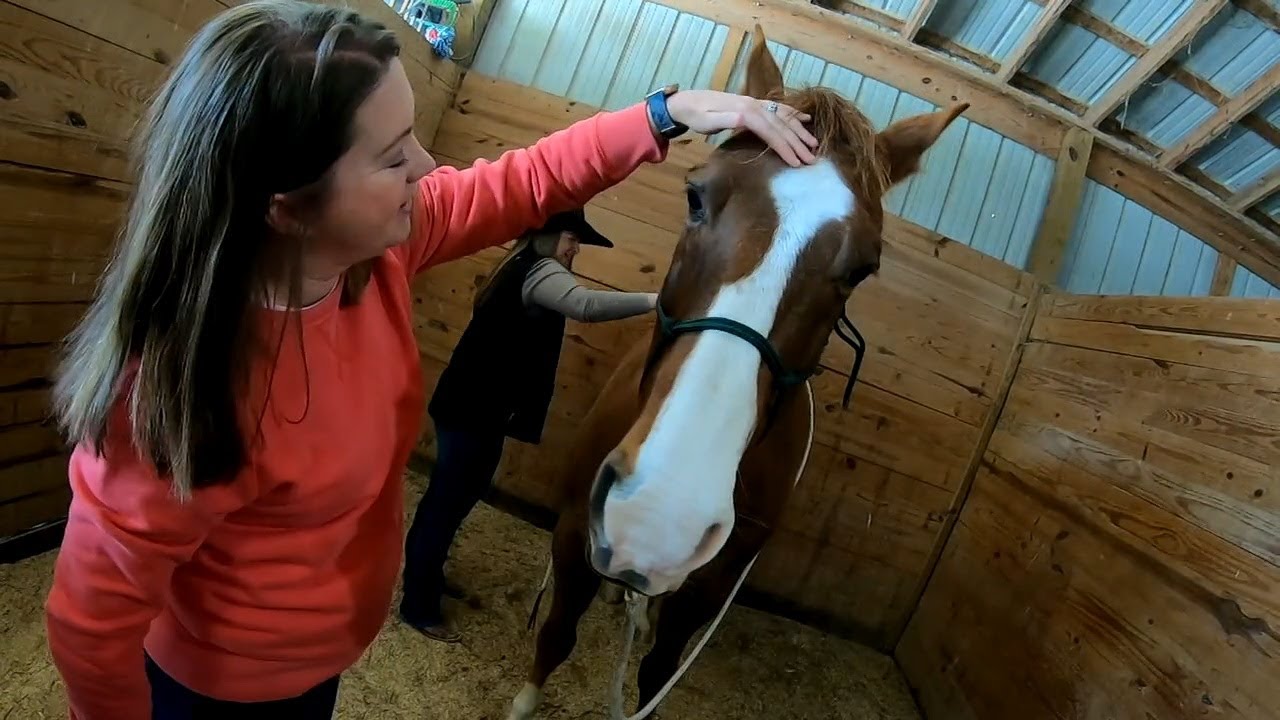 Veteran’s Club Opening Equine Therapy Program To Those Affected By Louisville Mass Shooting