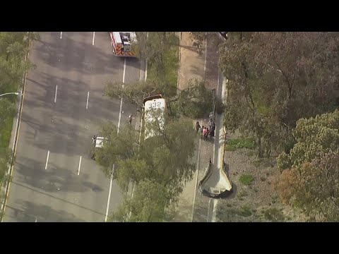 Watch: Chopper 8 Captures School Bus Crash Into Tree