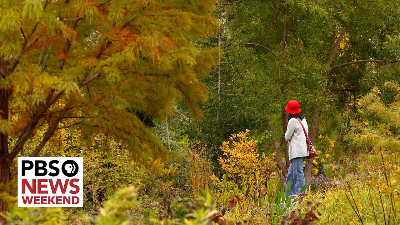 What It Takes To Save Some Of The World’s Most Threatened Plant Species